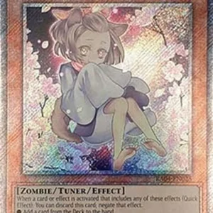 Yu-Gi-Oh! RA04 Ash Blossom & Joyous Spring (V.4 - Platinum Secret Rare)