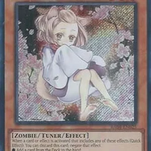 Yu-Gi-Oh! RA04 Ash Blossom & Joyous Spring (V.3 - Secret Rare)
