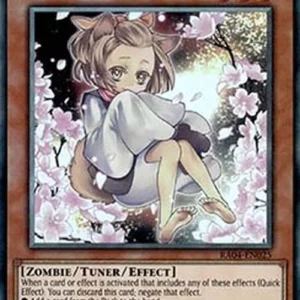 Yu-Gi-Oh! RA04 Ash Blossom & Joyous Spring (V.6 - Collectors Rare)