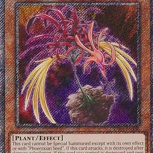 Yu-Gi-Oh! RA04 Phoenixian Cluster Amaryllis (V.1 - Platinum Secret Rare)