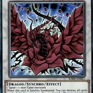 Yu-Gi-Oh! RA04 Black Rose Dragon (V.6 - Collectors Rare)
