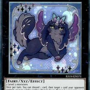Yu-Gi-Oh! RA04 Epurrely Noir (V.5 - Collectors Rare)