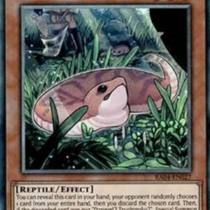 Yu-Gi-Oh! RA04 Danger!? Tsuchinoko? (V.6 - Collectors Rare)