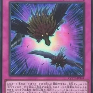 Yu-Gi-Oh! QCCP Blackwing - Twin Shadow (V.1 - Super Rare)