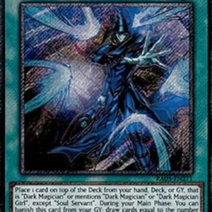 Yu-Gi-Oh! RA03 Soul Servant (V.1 - Platinum Secret Rare)
