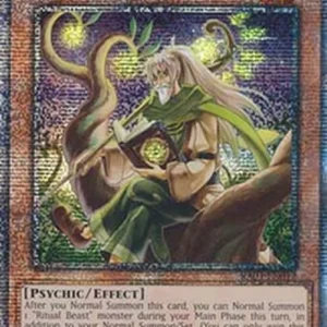 Yu-Gi-Oh! RA03 Ritual Beast Tamer Elder (V.5 - Quarter Century Secret Rare)