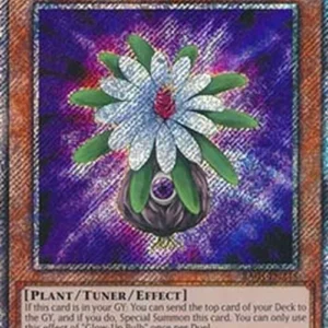 Yu-Gi-Oh! RA03 Glow-Up Bulb (V.1 - Platinum Secret Rare)
