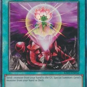 Yu-Gi-Oh! RA03 One for One (V.13 - Ultimate Rare)