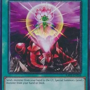 Yu-Gi-Oh! RA03 One for One (V.11 - Collectors Rare)
