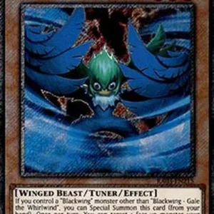 Yu-Gi-Oh! RA03 Blackwing - Gale the Whirlwind (V.1 - Platinum Secret Rare)