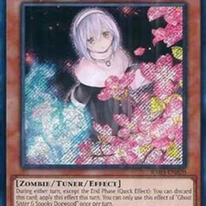 Yu-Gi-Oh! RA03 Ghost Sister & Spooky Dogwood (V.3 - Secret Rare)
