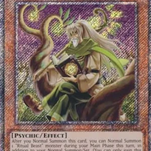Yu-Gi-Oh! RA03 Ritual Beast Tamer Elder (V.4 - Platinum Secret Rare)