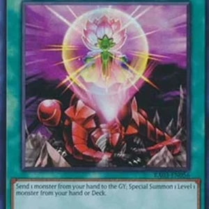 Yu-Gi-Oh! RA03 One for One (V.1 - Super Rare)