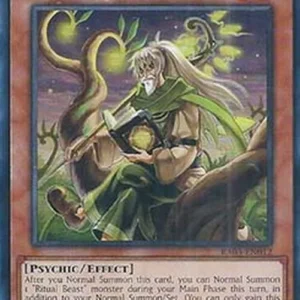 Yu-Gi-Oh! RA03 Ritual Beast Tamer Elder (V.2 - Ultra Rare)