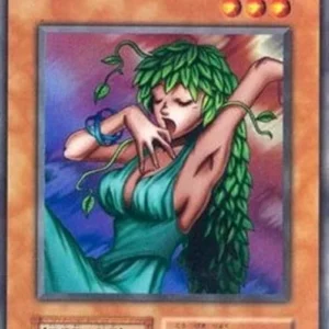 Yu-Gi-Oh! P1 Goddess of Whim