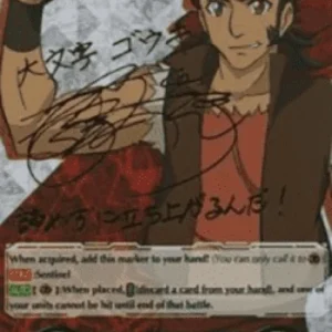 Cardfight!! Vanguard V-GM Imaginary Gift Protect [V Format] (V.6 - Secret R