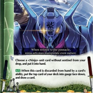 Cardfight!! Vanguard DZ-TB01 Fuuton, Sweeping Whirlwind [D-Format] (V.1 - T