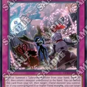 Yu-Gi-Oh! OP23 Big Welcome Labrynth