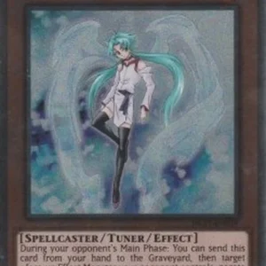 Yu-Gi-Oh! NKRT Effect Veiler