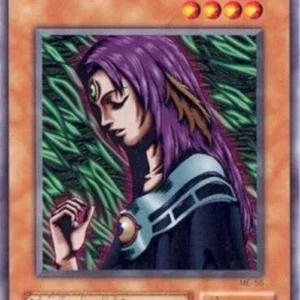 Yu-Gi-Oh! ME Witch of the Black Forest