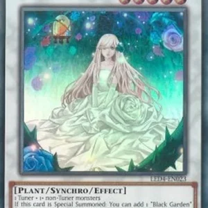 Yu-Gi-Oh! LED4 Garden Rose Maiden