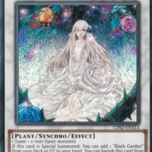 Yu-Gi-Oh! LDS2 Garden Rose Maiden