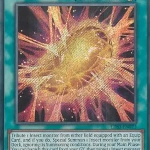 Yu-Gi-Oh! LDS1 Cocoon of Ultra Evolution