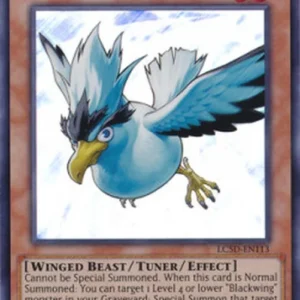 Yu-Gi-Oh! LC5D Blackwing - Blizzard the Far North
