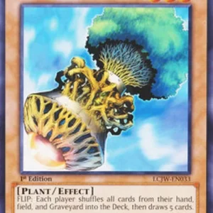 Yu-Gi-Oh! LCJW Fiber Jar