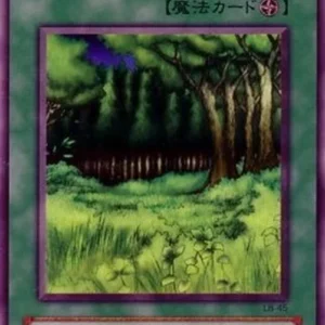 Yu-Gi-Oh! LB Forest
