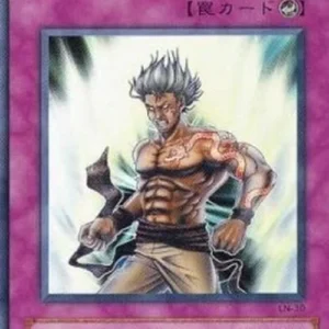 Yu-Gi-Oh! LN Riryoku Field