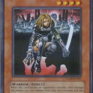 Yu-Gi-Oh! HL06 D.D. Warrior Lady