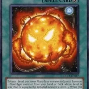 Yu-Gi-Oh! DL12 Super Solar Nutrient (V.3 - Rare)