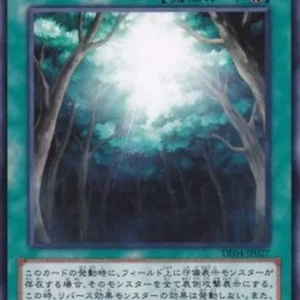 Yu-Gi-Oh! DE04 Ancient Forest