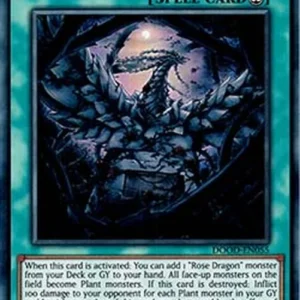 Yu-Gi-Oh! DOOD Black Rose Garden (V.1 - Ultra Rare)