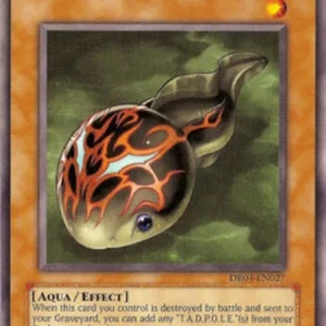 Yu-Gi-Oh! DR04 T.A.D.P.O.L.E.