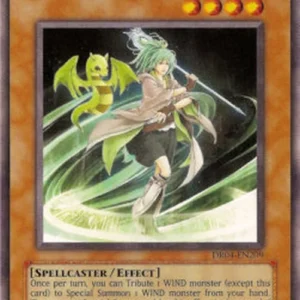 Yu-Gi-Oh! DR04 Storming Wynn