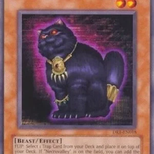 Yu-Gi-Oh! DR1 A Cat of Ill Omen
