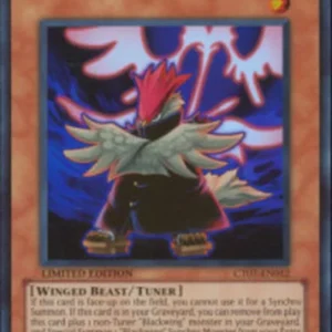 Yu-Gi-Oh! CT07 Blackwing - Vayu the Emblem of Honor