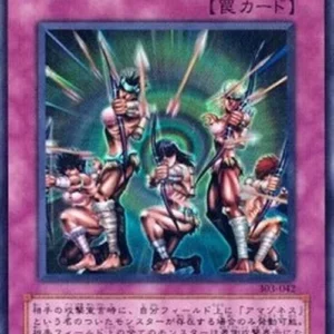 Yu-Gi-Oh! 303 Amazoness Archers