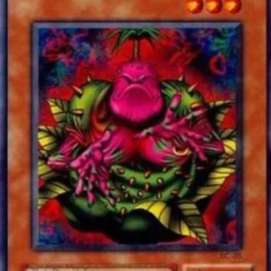 Yu-Gi-Oh! BC Wodan the Resident of the Forest