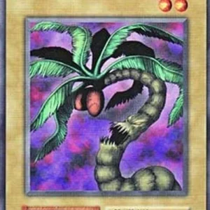 Yu-Gi-Oh! B-3 Yashinoki
