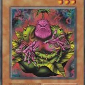 Yu-Gi-Oh! B-3 Wodan the Resident of the Forest